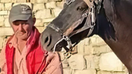 I mori jetën 42 vjecarit se preku kalin, autori i ngjarjes së rëndë tregon ARSYEJEN SH0KUESE se pse e vr*u