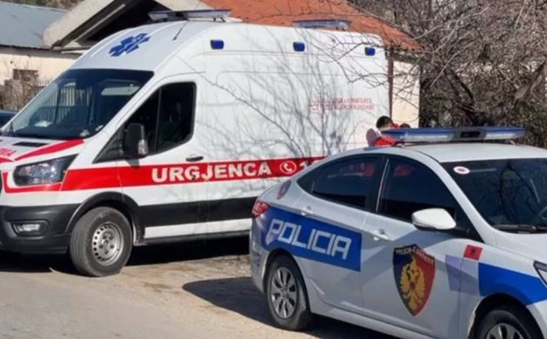 Cfarë po ndodh kështu në vend! 25-vjeçari qëIIohet per parking, shoku i tij rrihet me sende të forta