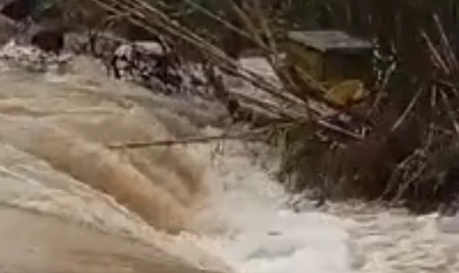 Situat e rëndë në vend! Fermerët në lot ‘Më kanë ngordhur 120 dhi, 60 keca dhe..’ Rëndohet bilanci në Jug!